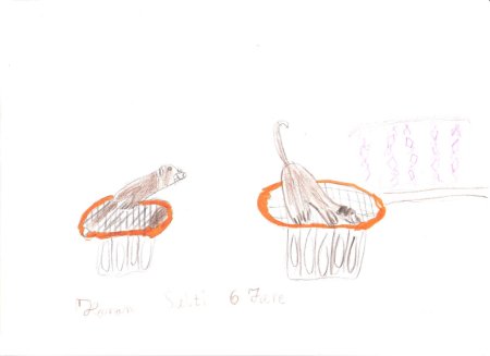 Bild von Hanni 00102