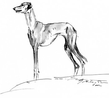 Djoliba (Gabriele Schrter)-35002