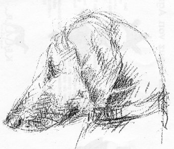 Fennek 1(Herbert Arbogast)-35002