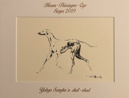 HTC-Yahya02