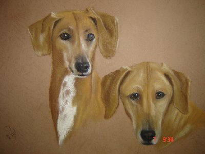 Hadi-Yaris_Intalla_kunst02