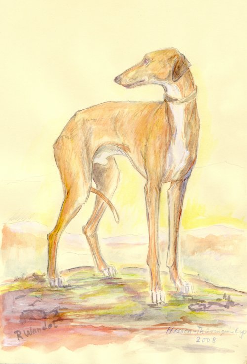 Wandel02