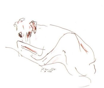 Oum Namous 1(G Schrter)-35002