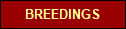 ACHIEVMENTS