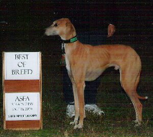 jelounbobregional102004-300-270
